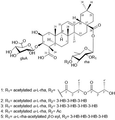 Pentacyclic triterpenoids saponins pannosides A-E from Tripolium pannonicum